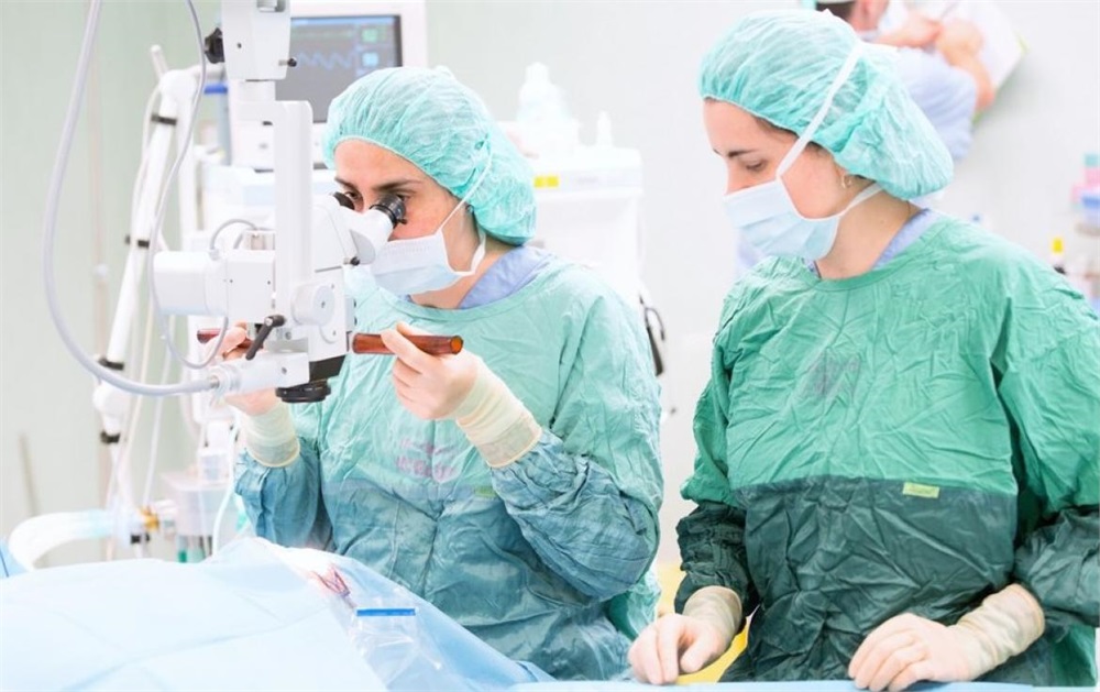 Centrul de chirurgie laser cu ochi Vladivostok - Retină 