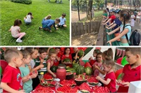 Tabăra de Vară 2025 la Academia Piticilor