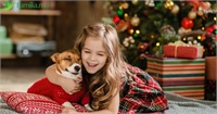 Afiș 20-26 decembrie: Târgul cadourilor de Crăciun, poveste de iarnă pentru copii, multiple acțiuni de caritate