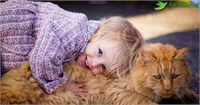 Clasamentul celor mai potrivite rase de pisici pentru o familie cu copil
