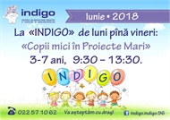 La "Indigo" de luni până vineri: "Copii mici în Proiecte Mari"