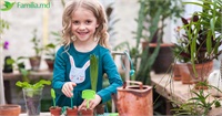 Educația ecologică a copiilor la grădiniță. De ce este atât de important?